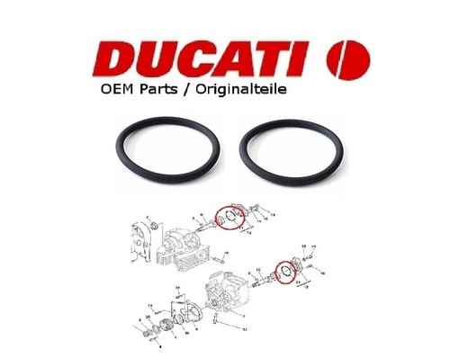 Ducati oem multistrada 1000 - multistrada,